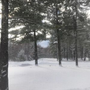 Meet your Posher, Lillian